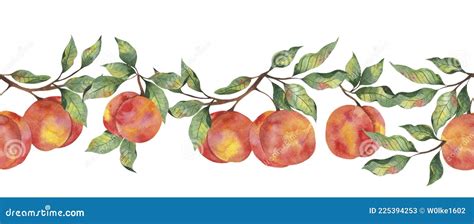 Watercolor Border With Fruit Ripe Peach With Leaf Branches On A White