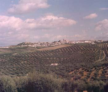 Merece la pena ver y leer a un poeta de arjona al que le gusta la fotografía y que se derrama escribiéndole a los olivos. ARJONA (JAEN)