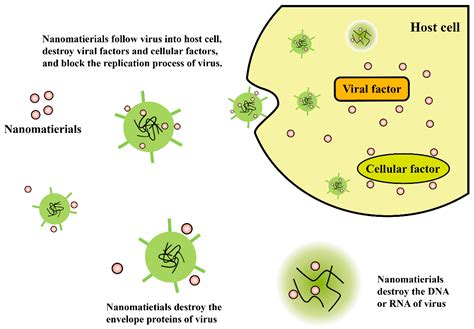 Materials Free Full Text Science Based Strategies Of Antiviral