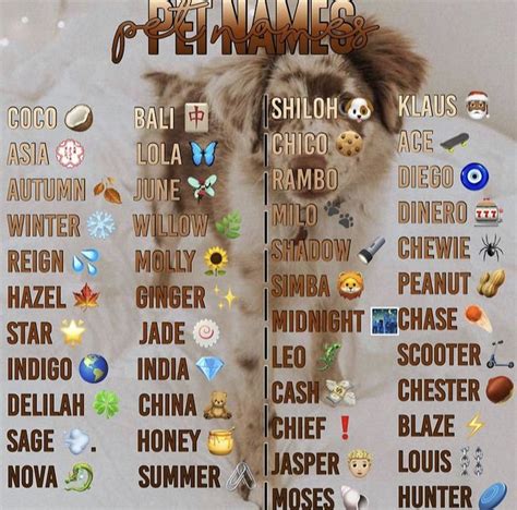 Pin By 🦋💙sagittariusbaddies🦋💙 On Tips ️ Cute Animal Names Cute Puppy
