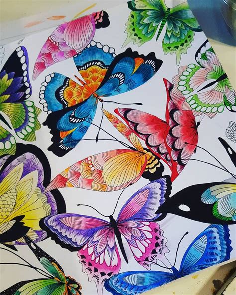 X rated coloring pages amazon color the classics anne of green gables a coloring book visit to prince edward island jae eun lee books. Finished my butterflies #tropicalworld #adultcoloringbook ...