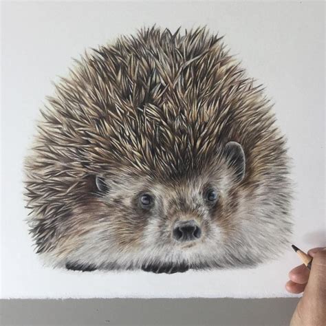 15 Realistic Colored Pencil Drawings Of Animals Ideas Greener