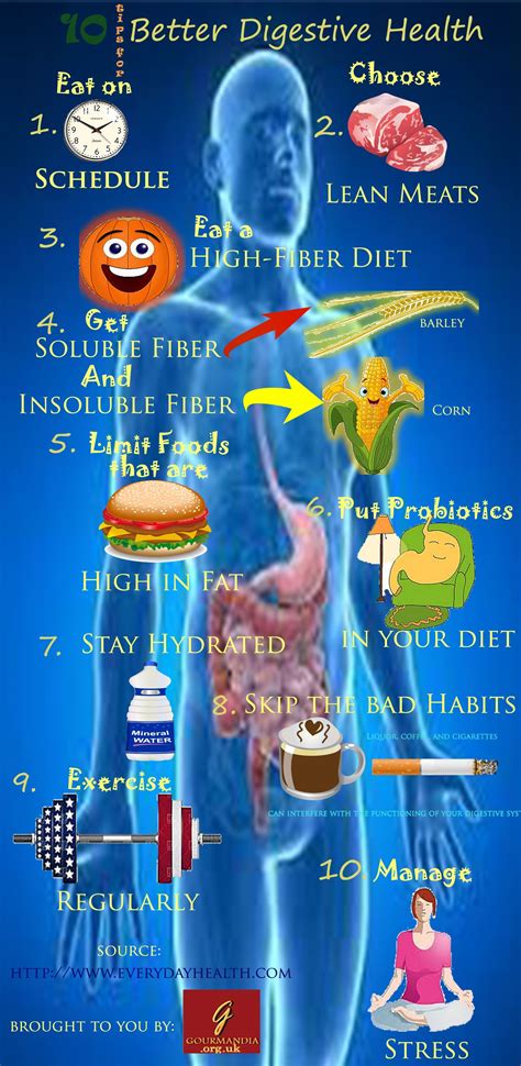 How To Improve Digestive Health Tips For A Happy Gut Gimme How