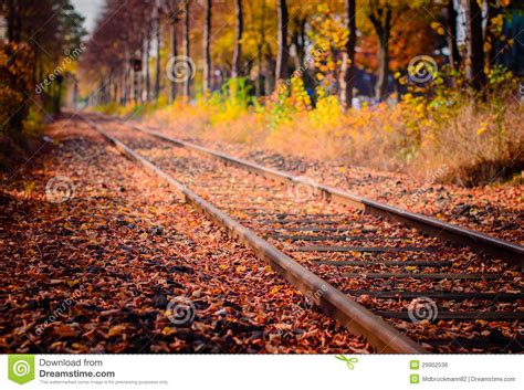 Railroad In Autumn Stock Photo Image Of Maple Flowing 29902536