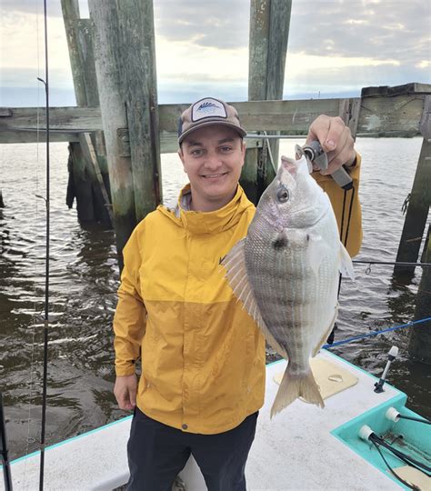 Richmond Hill Angler Sets New State Saltwater Record For Pinfish