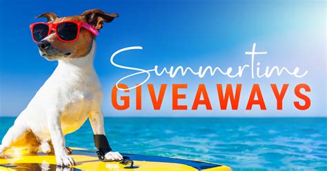 17 Giveaway Ideas For Businesses Summer Pinnacle Promotions Blog