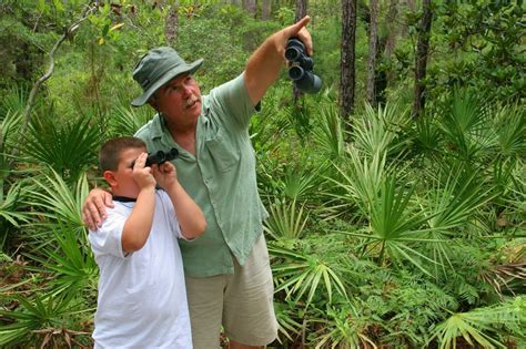 Audubon Bird Sanctuary On Dauphin Island Dauphin Island Dauphin