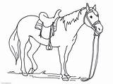 Horse Coloring Realistic sketch template
