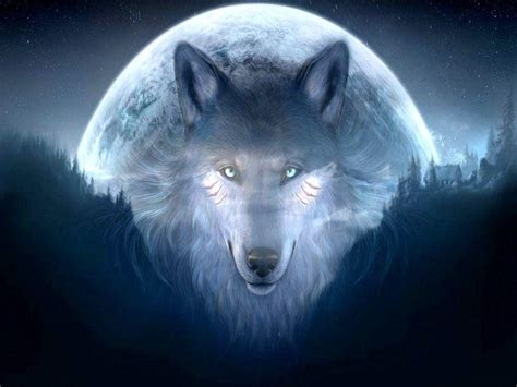 O melhor acervo de vídeos online sobre entretenimento, esportes e jornalismo do brasil. Galaxy Wolf Wallpapers - Wallpaper Cave