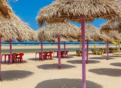 Pacote Belém, Ilha de Marajó e Alter do Chão | Oikos Tour Operator
