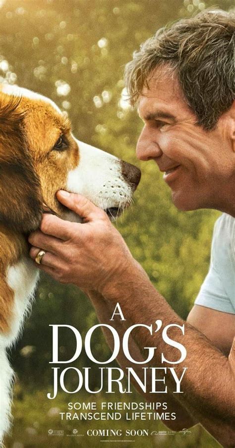 10 Movies With Dog Characters