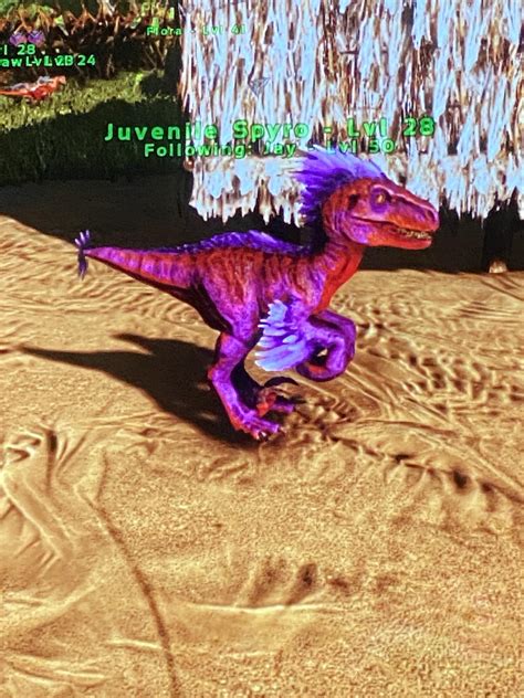 Im Still Super New To Ark And Egg Hatching Can Anyone Tell Me If My