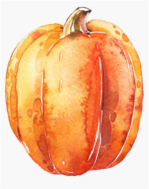 Watercolor Pumpkin Clipart Free Pumpkin Clipart Watercolor Pumpkins