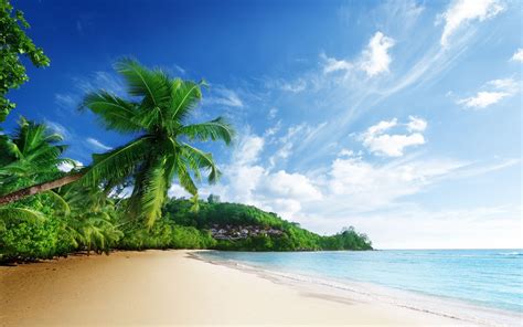 tropical beach pictures wallpapers wallpaper cave