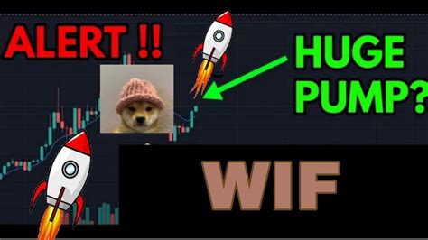 Dogwifhat Wif Coin Urgent News Today Dogwifhat Wif Price Prediction