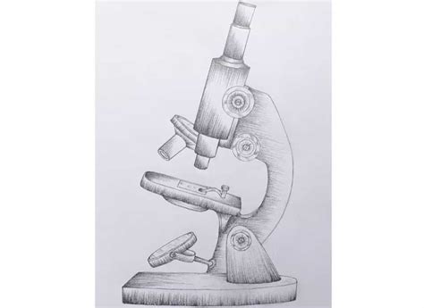 How To Draw A Microscope Step By Step Wp Content