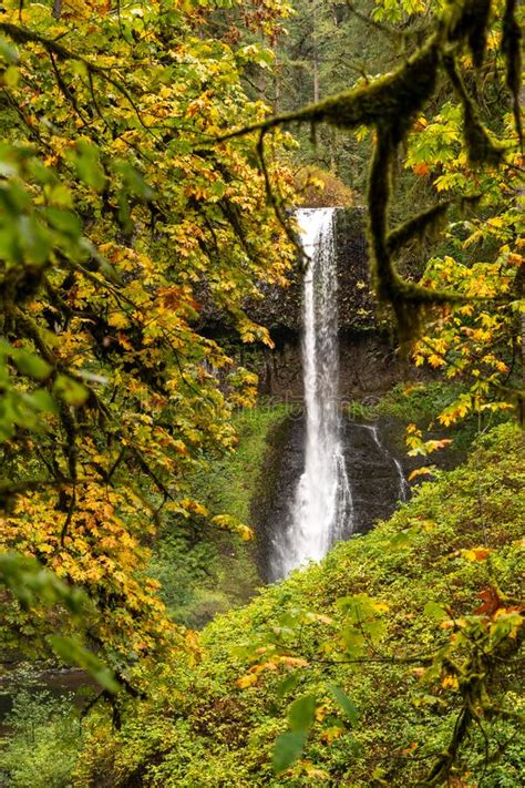 Fall Color In Oregon Forest At Silver Falls State Park Waterfall Stock
