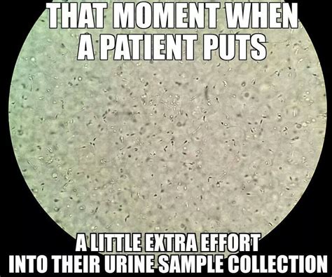 If Youre A Lab Person Youll Understand Laboratory Humor Medical