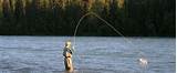 Pictures of Fishing The Kenai River