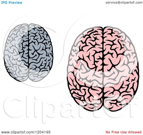 Clipart Of Gray And Pink Human Brains 3 Royalty Free Vector
