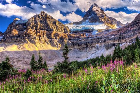 Mount Assiniboine Photograph By Dj Macisaac Fine Art America