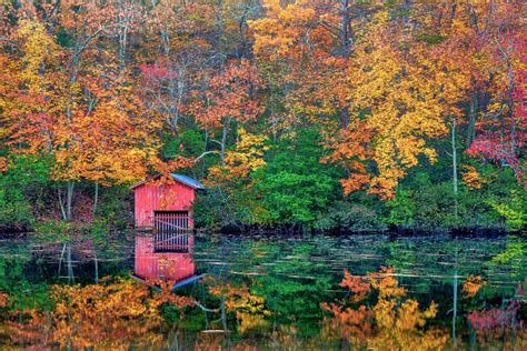 Some Of The Most Beautiful Places To See Fall Foliage In The South