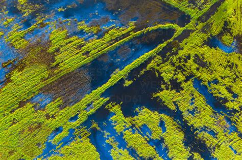 Aerial View Of A Marshland Part Of Estuary Of River Vouga In Ria De