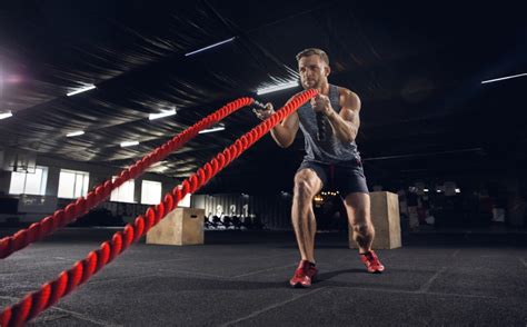 Battle Ropes Exercises All You Need To Know HealthxTips