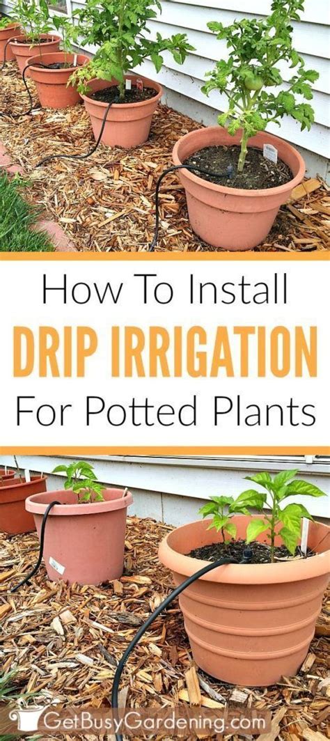 In this guide, you will be shown how to design, install, and also set up an effective drip irrigation system. How to install an irrigation system in your garden ...