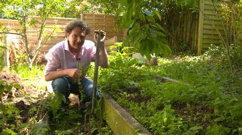 Gardening Together With Diarmuid Gavin Episode 3 Hdclump