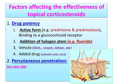 Ppt Topically Applied Corticosteroids Powerpoint Presentation Free
