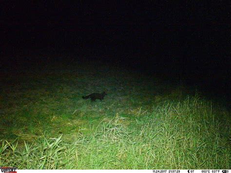 What is this? | Archery Talk Forum