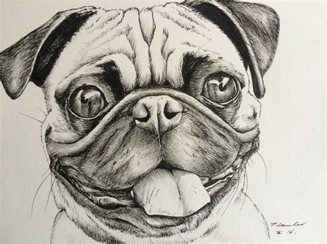 Pug Original Watercolour Painting Pen Drawing By Traceylawler