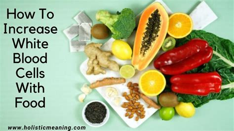 How To Increase White Blood Cells With Food In 2021 Holistic Meaning