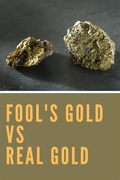 The Glittering Deception Understanding The Differences Between Fools