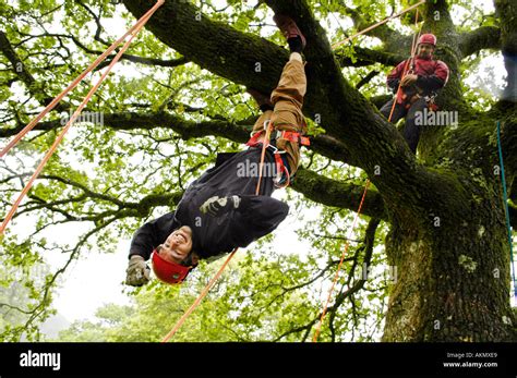 Young Man On Tree Climbing Course Securely Roped And Hanging Upside Down At Brechfa
