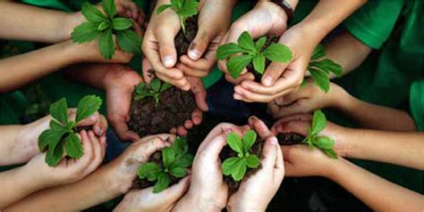 10 Dicas Para Você Preservar O Meio Ambiente Colégio Montessoriano