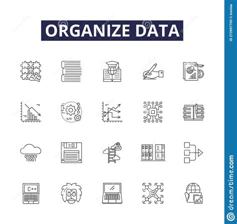 Organize Data Line Vector Icons And Signs Classify Compile Structure