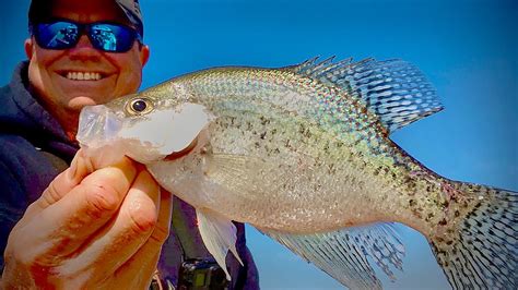 Pre Spawn Crappie Fishing With Jigs And Minnows Youtube