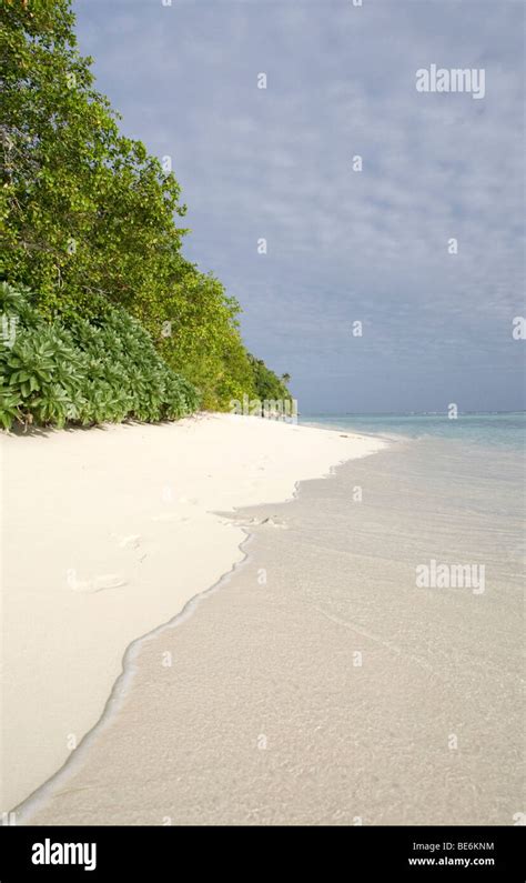 Isolated Beach In Vavau Islands Tonga Stock Photo Alamy