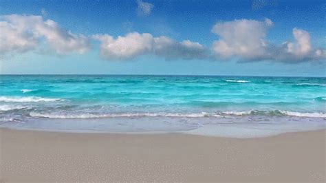 Fun virtual backgrounds for zoom meetings. Beautiful Water GIF | Shores beach, Beach