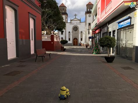 Qué Ver En Mogán Y La Aldea De San Nicolás Día 2 En Gran Canaria