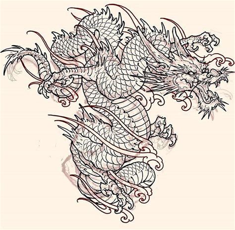 trong hình ảnh có thể có vẽ japanese dragon tattoos dragon sketch dragon tattoo designs