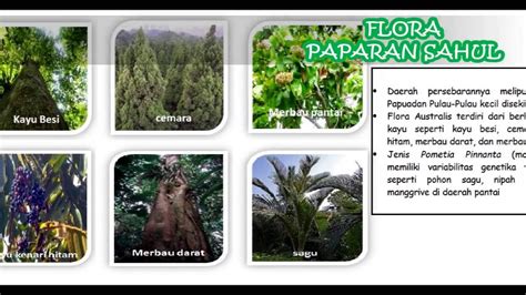 Kliping Tentang Flora Dan Fauna Coretan