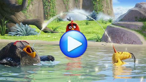 In this paradise, red, a bird with a temper problem, speedy chuck, and the volatile bomb have always been outsiders. Watch Onlne Free: The Angry Birds (2016) Full Movie ...