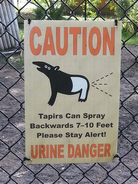 12 Funny Signs At Zoo Beware Of Birds