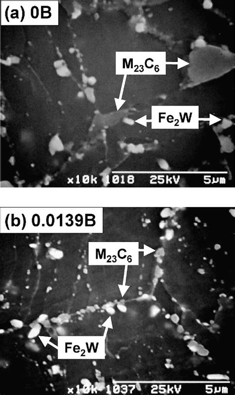 Sem Micrographs Of The 0b And 00139b Steels After Aging For 10300 H