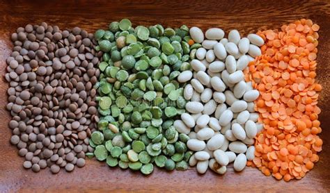 Variety Of Beans And Legumes Stock Image Image Of Diet Beans 240825183
