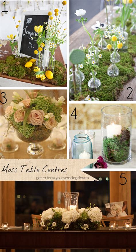 If you're looking for coffee table decor ideas, here's another one. Moss Wedding Decor Ideas ~ Get To Know Your Wedding ...