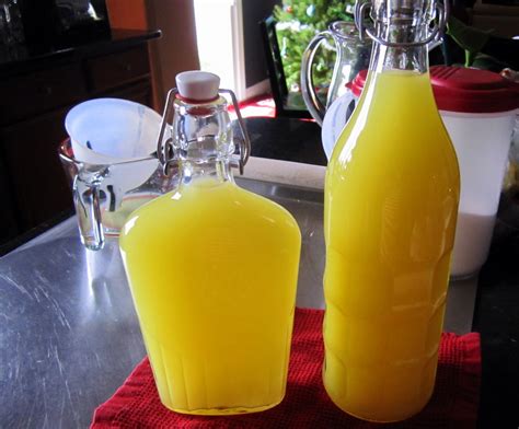 For more details including how to change your cookie settings, please read our cookie policy. How to make Homemade Limoncello (drinks recipes) | Going Evergreen
